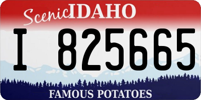 ID license plate I825665