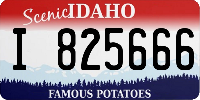 ID license plate I825666