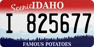 ID license plate I825677