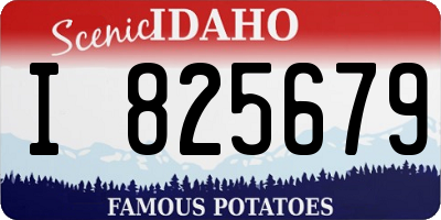 ID license plate I825679