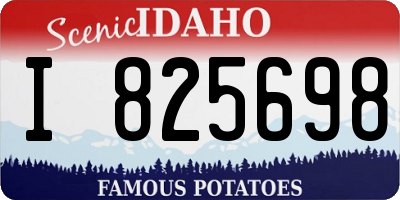 ID license plate I825698