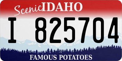 ID license plate I825704