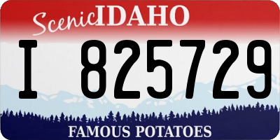 ID license plate I825729