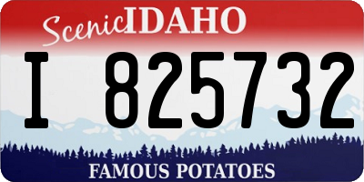 ID license plate I825732