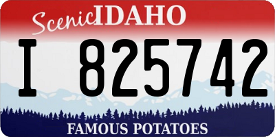 ID license plate I825742