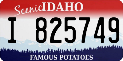 ID license plate I825749
