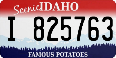 ID license plate I825763