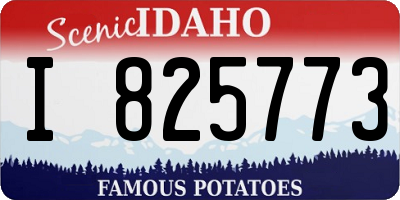 ID license plate I825773