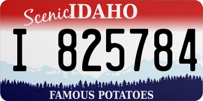 ID license plate I825784