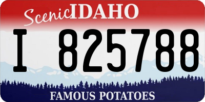 ID license plate I825788
