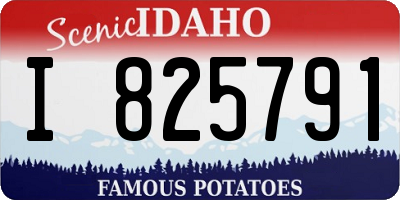 ID license plate I825791