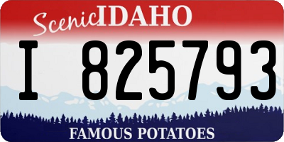 ID license plate I825793