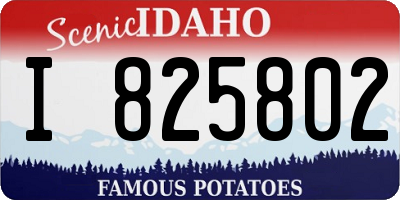 ID license plate I825802