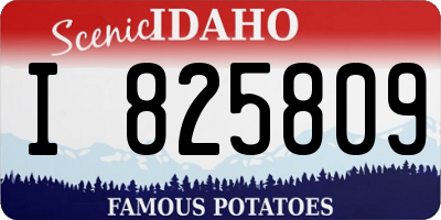 ID license plate I825809