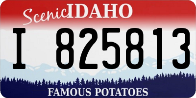 ID license plate I825813