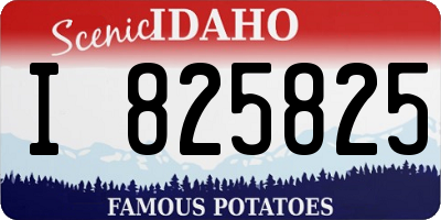 ID license plate I825825