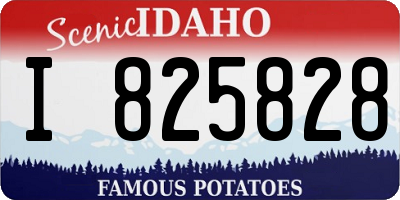 ID license plate I825828