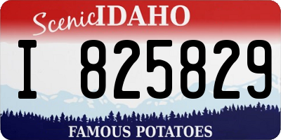 ID license plate I825829
