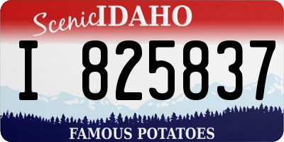 ID license plate I825837