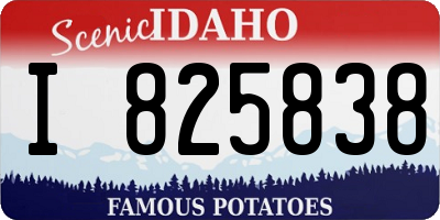 ID license plate I825838