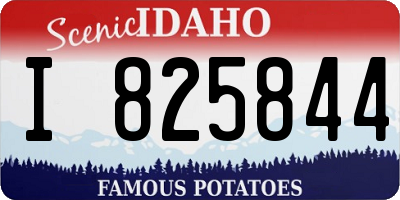 ID license plate I825844