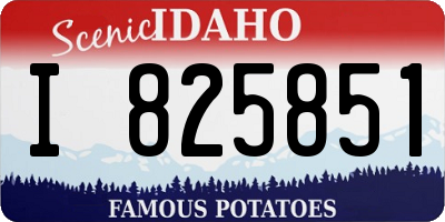 ID license plate I825851