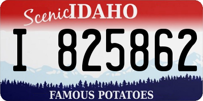 ID license plate I825862