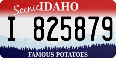 ID license plate I825879