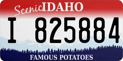 ID license plate I825884