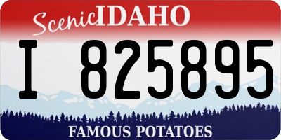 ID license plate I825895