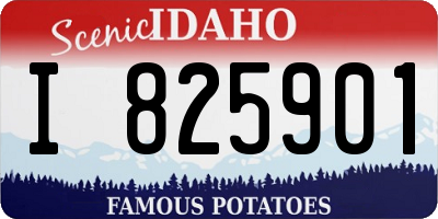 ID license plate I825901