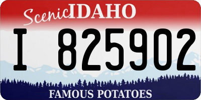 ID license plate I825902