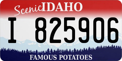 ID license plate I825906