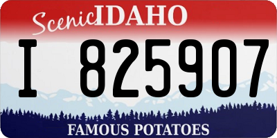ID license plate I825907