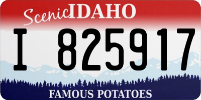 ID license plate I825917