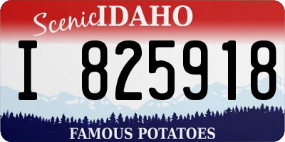 ID license plate I825918