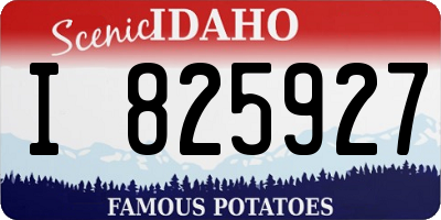ID license plate I825927