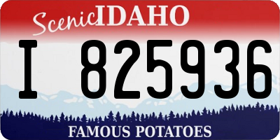 ID license plate I825936