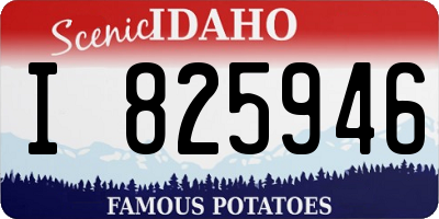 ID license plate I825946