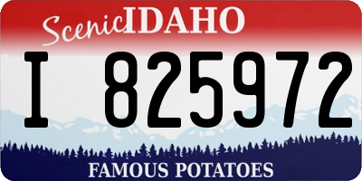 ID license plate I825972