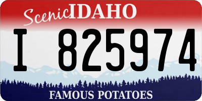 ID license plate I825974