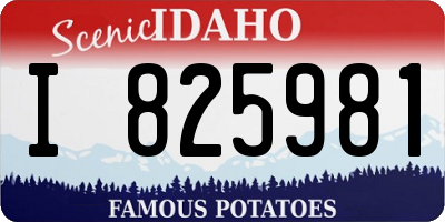 ID license plate I825981