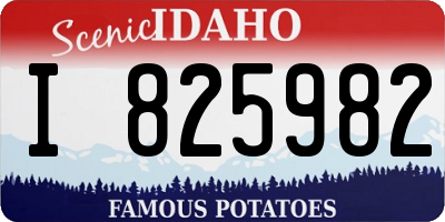 ID license plate I825982