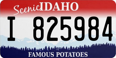 ID license plate I825984