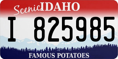 ID license plate I825985