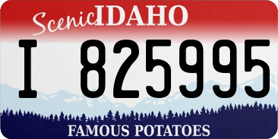 ID license plate I825995