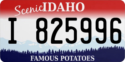 ID license plate I825996