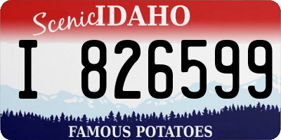 ID license plate I826599