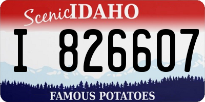 ID license plate I826607
