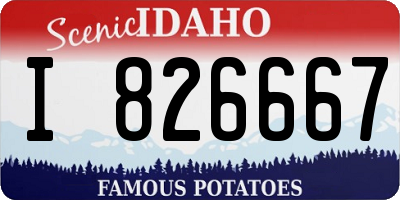 ID license plate I826667